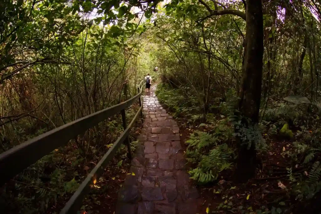 Turismo regenerativo na Tríplice Fronteira