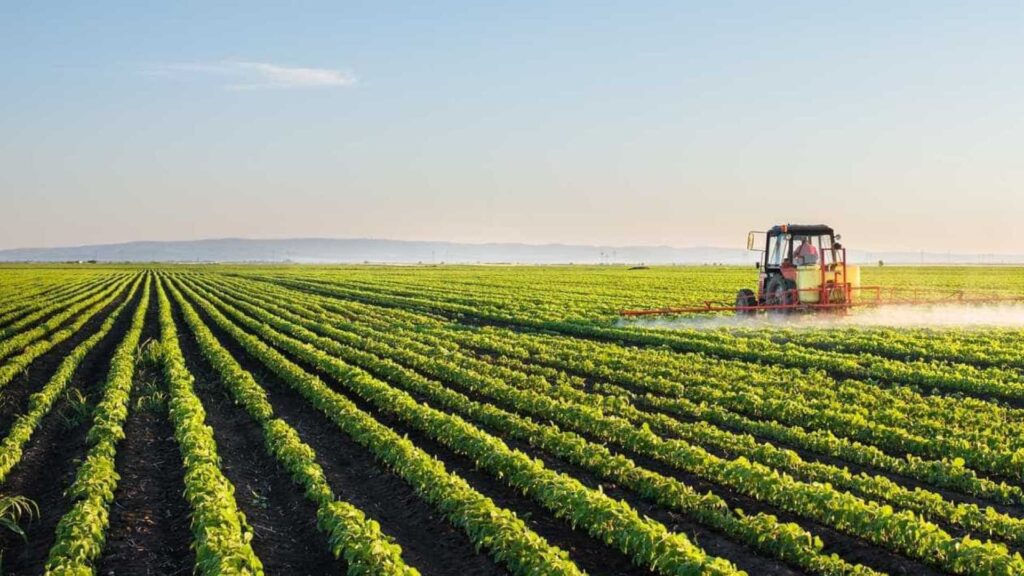 Agroecologia na Tríplice Fronteira