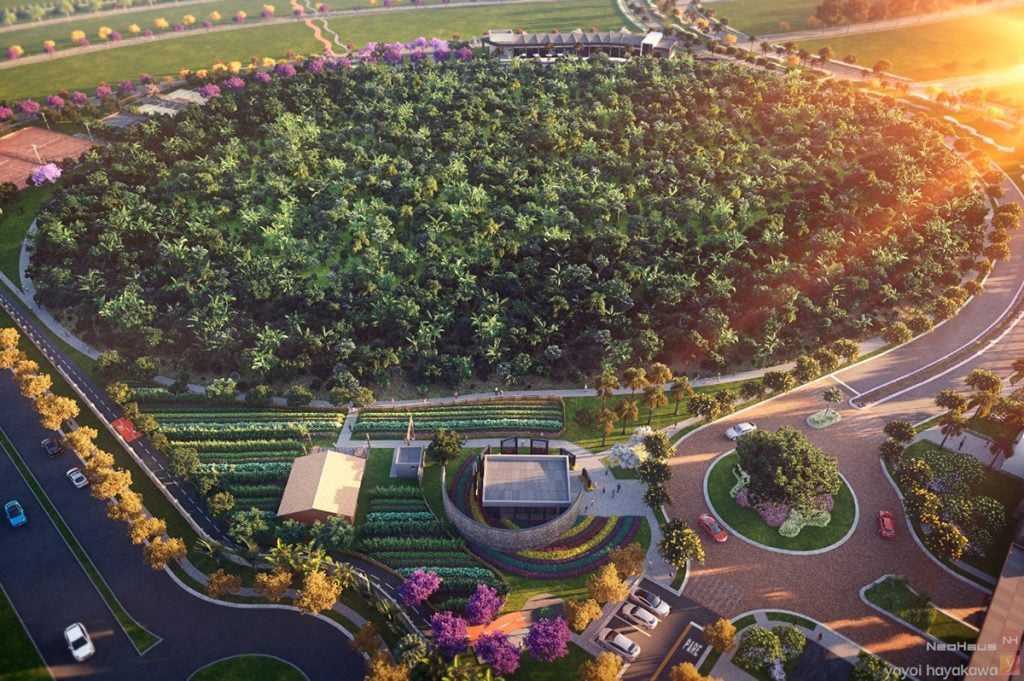 A conexão entre cidade e floresta é mais próxima do que parece