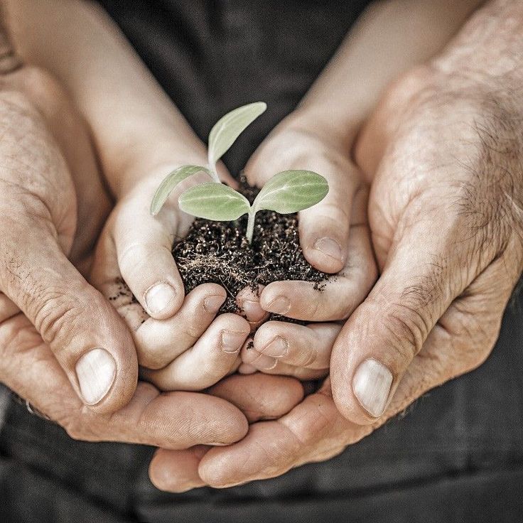Mentalidade, Ação e Escolha: o Ciclo que Sustenta o Futuro