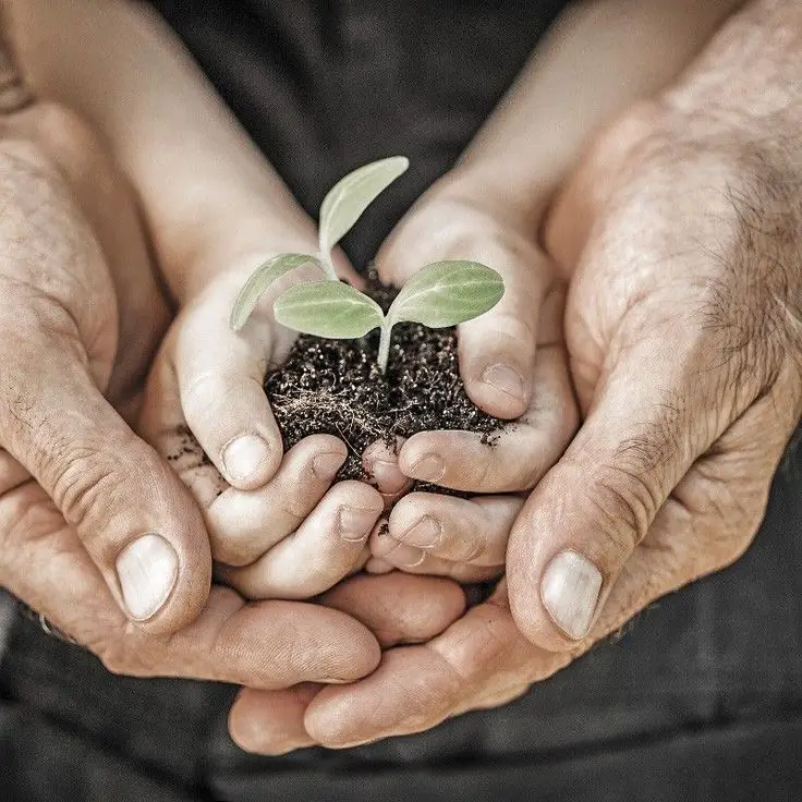 Mentalidade, Ação e Escolha: o Ciclo que Sustenta o Futuro
