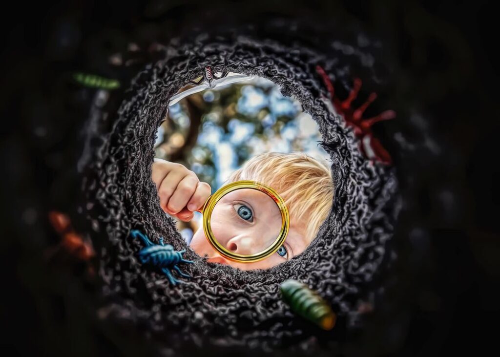 Mentalidade, Ação e Escolha: o Ciclo que Sustenta o Futuro