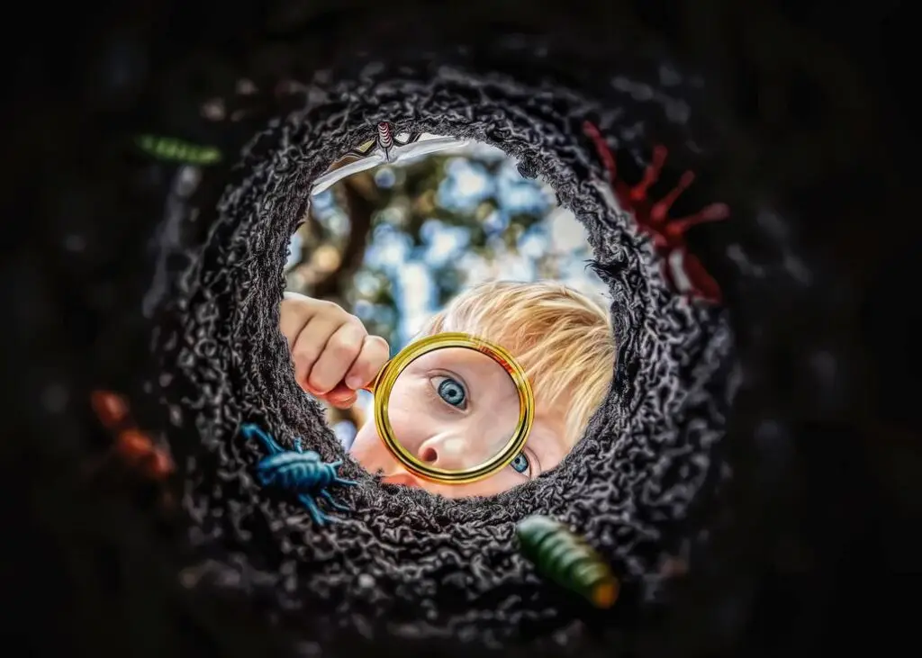 Mentalidade, Ação e Escolha: o Ciclo que Sustenta o Futuro