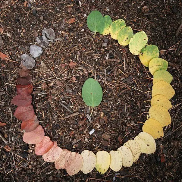 Pensamento de Ciclo de Vida no Território do Futuro
